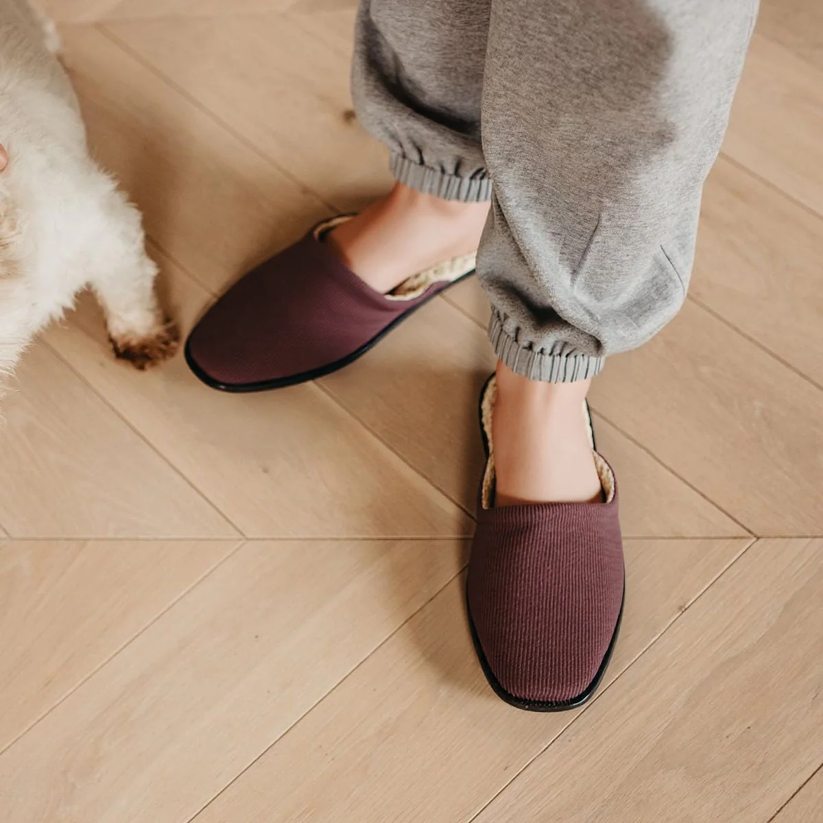 PANTUFLA EDGAR CHOCOLATE - Image 7