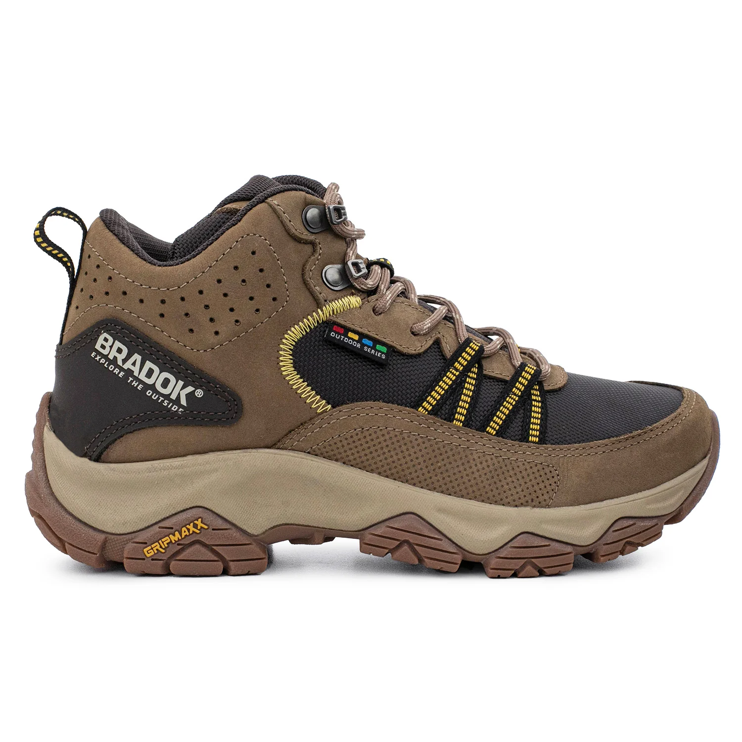 BORCEGO SHASTA VISÓN