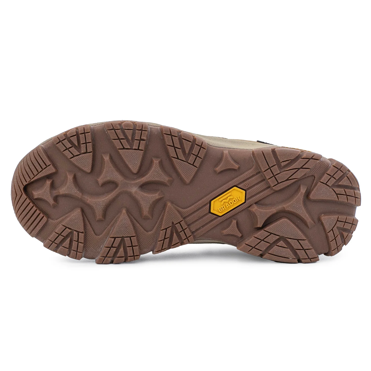 BORCEGO SHASTA VISÓN - Image 6